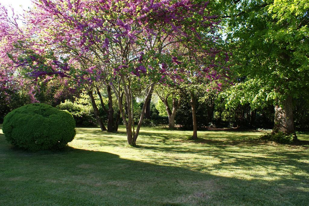 Bed and Breakfast Chateau De Grenier Saint-Leger  Экстерьер фото